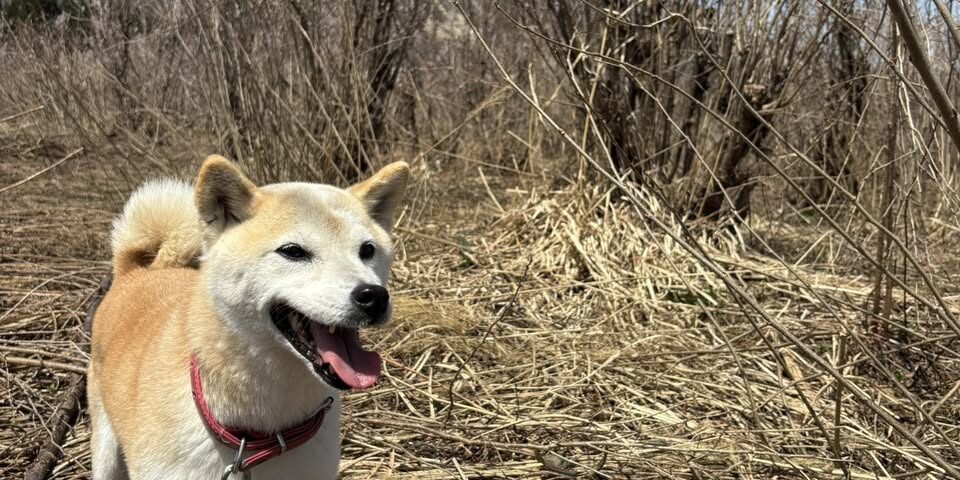 668585683_1504141771506881_1872334564464710664_n