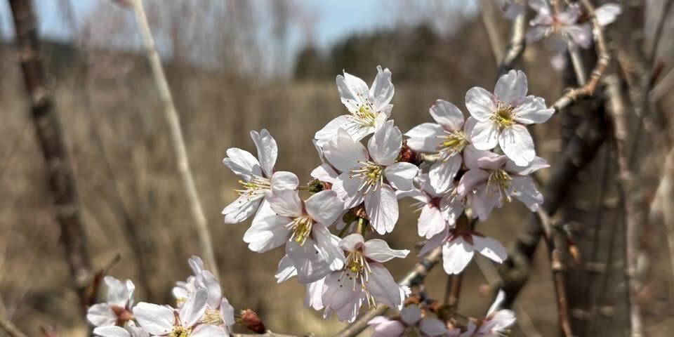 673487845_1504141818173543_1650520127284512584_n